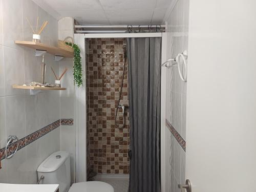 a bathroom with a shower with a toilet and a sink at Apartamentos Mediterráneo en Playa Heliópolis Benicasim in Benicàssim