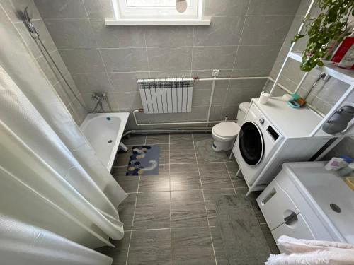 een badkamer met toilet en wasmachine bij Eco house in Naryn
