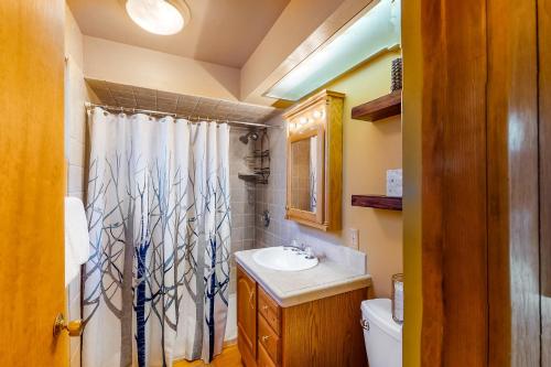 Koupelna v ubytování Pinewood Haus #301