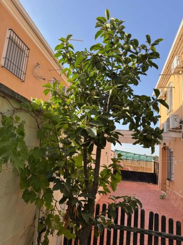 Φωτογραφία από το άλμπουμ του La Casita de Blanca σε Los Carvajales