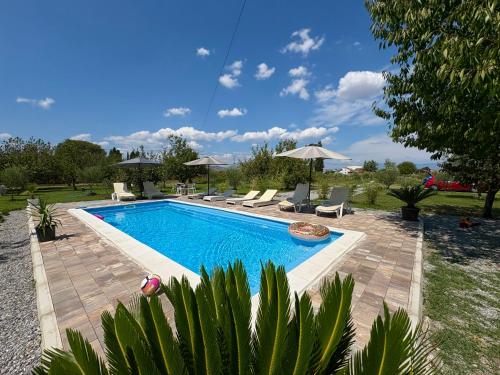 a swimming pool in a yard with chairs and umbrellas at Tiny house 2 - Imanje Terzic in Podgorica