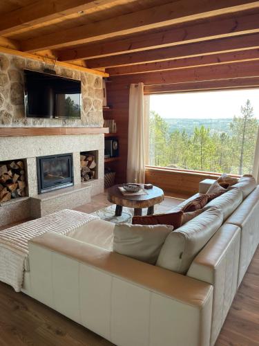 a living room with a couch and a fireplace at Retiro do Vouga in Águas Boas