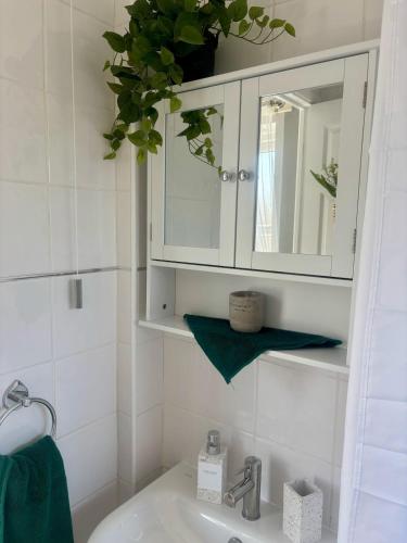 a bathroom with a sink and a medicine cabinet at The Ivy Nook in Hartlepool