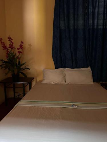 Postel nebo postele na pokoji v ubytování Shalom Backpacker Hostel