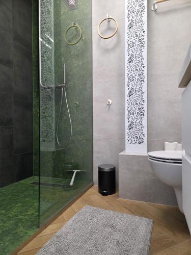 a bathroom with a shower and a toilet at Apartament Portowy Mewy Dwie in Hel