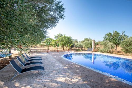 una piscina con due panchine accanto ad un albero di Can Botoner - Es Trenc - Grupo Berna a Campos
