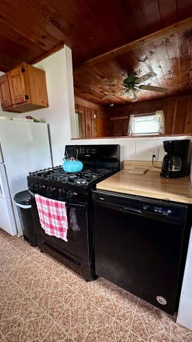 a kitchen with a black stove and a refrigerator at Milk & Honey in Glens Falls