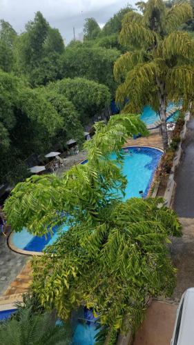 an overhead view of a row of pools with palm trees at Apartamento Caldas Novas in Caldas Novas