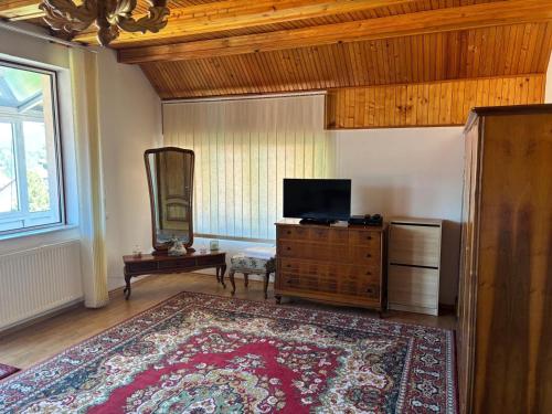 Een TV en/of entertainmentcenter bij Panoramic Villa in Predeal
