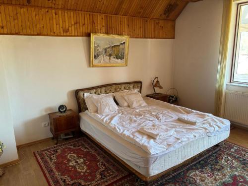 Een bed of bedden in een kamer bij Panoramic Villa in Predeal