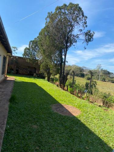 a yard with a tree and green grass at Casa zona cambyreta centro in Cambyretá