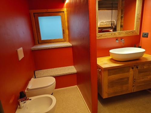 a bathroom with a toilet and a sink and a mirror at Le Grenier d'Antan - Relax Suite in Aosta