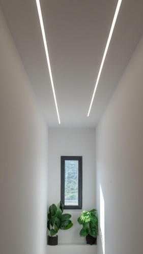 a white room with plants and a window at Melydia luxury Villa in Kastamonítsa