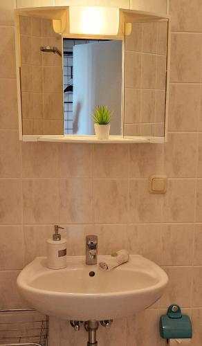 a bathroom sink with a mirror and a plant at Pension im Gesundbrunnental in Bad Freienwalde