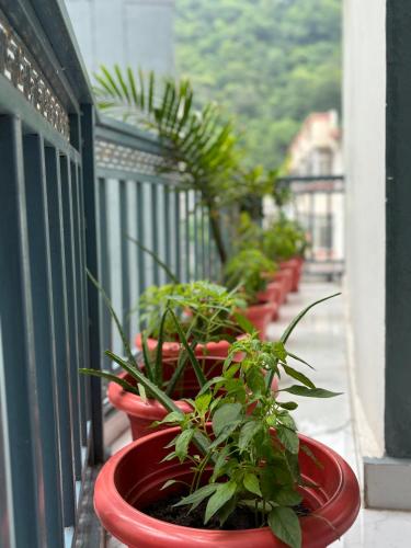 a row of red potted plants on a balcony at Namastey Guesthouse in Rishīkesh