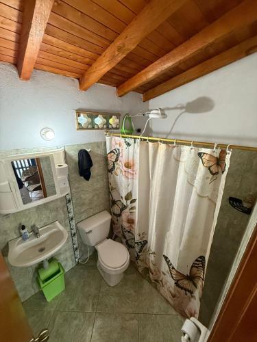 a bathroom with a toilet a sink and a shower curtain at Finca Marinilla in Marinilla