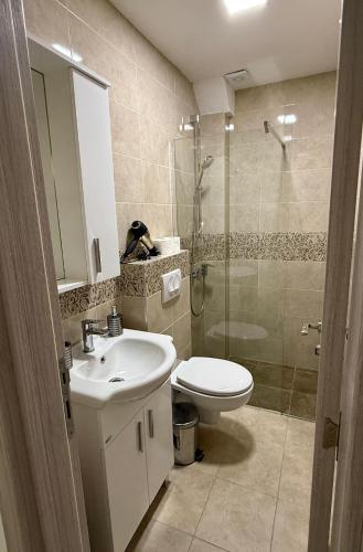 a bathroom with a toilet and a sink and a shower at Apartments Paris in Donji Štoj