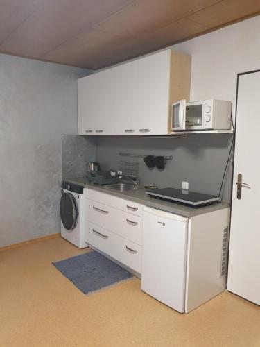 a kitchen with a sink and a washing machine at Ubytování nad sklípkem in Valtice