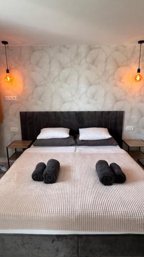 Las Americas Ponderosa 600