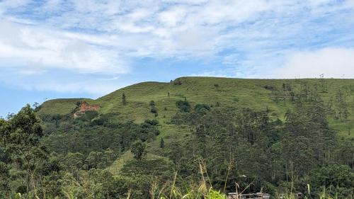 a green hill with trees on the side of it at Luna home in Badulla
