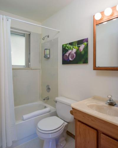 a white bathroom with a toilet and a sink at Family Fun, Private, Close To Trails, Beaches in Olga