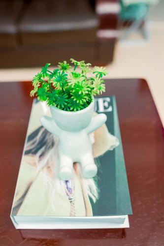 a plant in a white pot sitting on top of a book at Avek Home Stay Ngorongoro Room in Uru