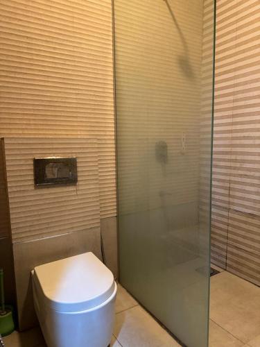 a bathroom with a toilet and a glass shower at Arizona Lodge 2 in Islamabad