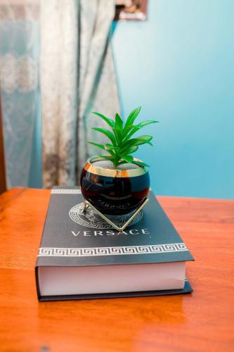 a potted plant sitting on top of a book at Avek Home Stay Ngorongoro Room in Uru