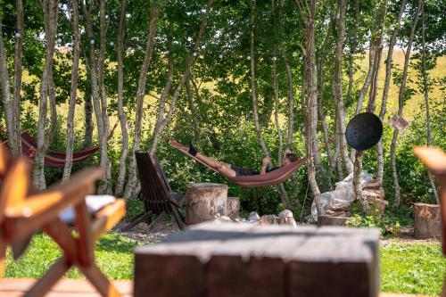 Giardino di Camping pod - RAZBIBRIGA by IGLENA