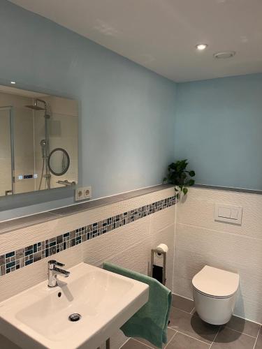 a bathroom with a sink and a toilet and a mirror at Black Forest, relaxation, YOUR place! in Forbach