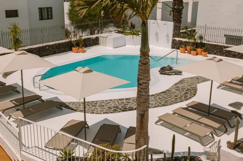 a pool with chairs and umbrellas and a palm tree at Apartamentos Princesa Guayadeque in Puerto del Carmen