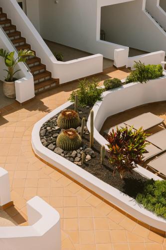 Apartamentos Princesa Guayadeque
