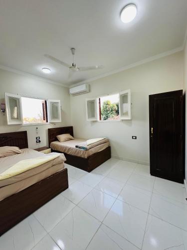 a bedroom with two beds and two windows at Habob Nubian Guest House in Aswan