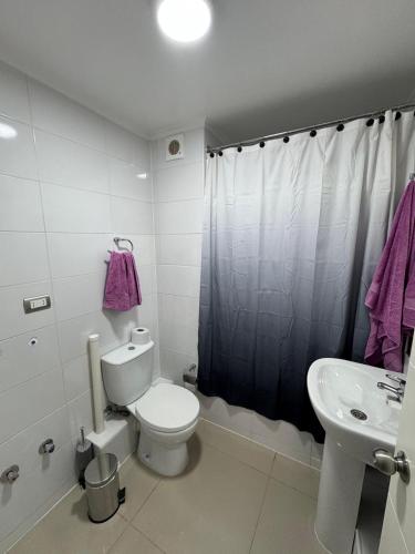 a bathroom with a toilet and a sink at Departamento Pucón 4 personas in Pucón