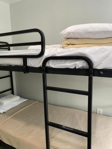a couple of bunk beds in a room at Mayflower Hospitality Hostel in Washington, D.C.
