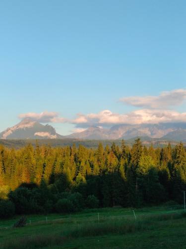 a field with trees and mountains in the background at U Bobaków in Murzasichle