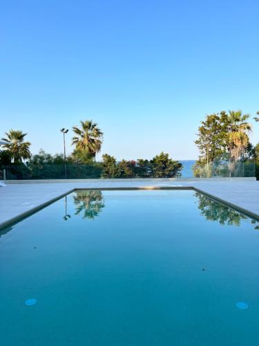 a pool of water with palm trees in the background at Helios Hotel in Crotone