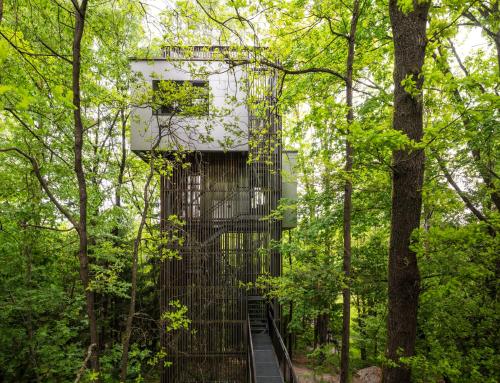 edelførst Baumhäuser