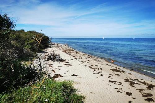 a beach with people walking on it next to the water at Appartements Post Hiddensee in Vitte in Vitte