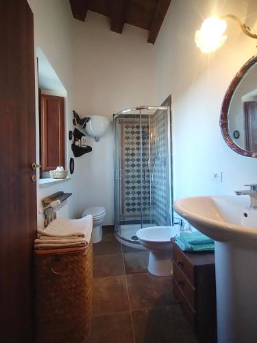 a bathroom with a shower and a toilet and a sink at Casa Gagliano Aterno in Gagliano Aterno