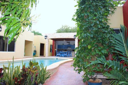 a house with a swimming pool in a garden at Casa Nicte-ha Valladolid in Valladolid
