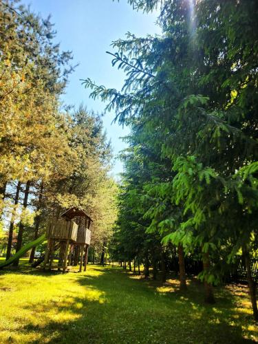 a park with trees and a bench in the grass at Cabana Oops Foisorul ascuns in Vama