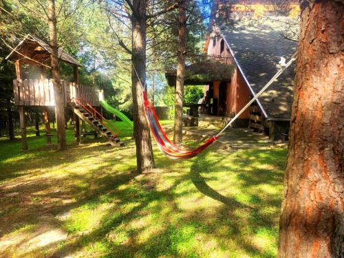 a hammock hanging from a tree in a park at Cabana Oops Foisorul ascuns in Vama