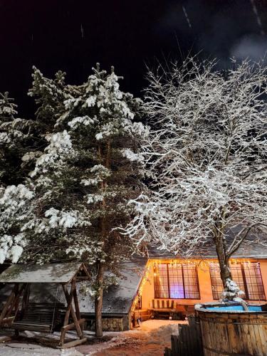 a snow covered pine tree in front of a building at Cabana Oops Foisorul ascuns in Vama