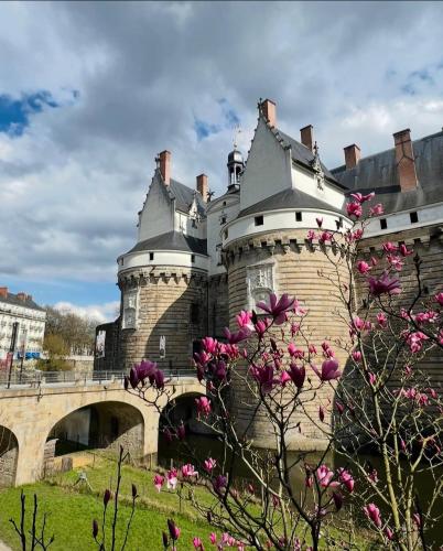 un château avec des fleurs roses devant un pont dans l'établissement NOZA Appartement 65m2, 2 chambres - RDC, Parking gratuit, Nantes agglo Rezé, à Rezé