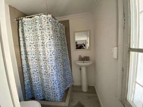 a bathroom with a shower curtain and a sink at Eco Dpto Estudio El golf 9 in Santiago