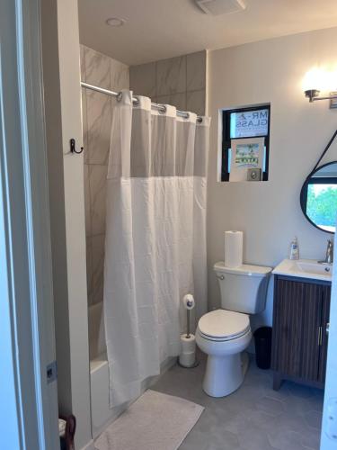 a bathroom with a toilet and a shower and a sink at Sea garden in Old Bight