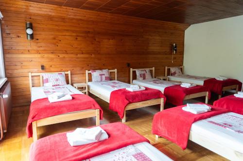 Gallery image of Gorski biser in Mojstrana