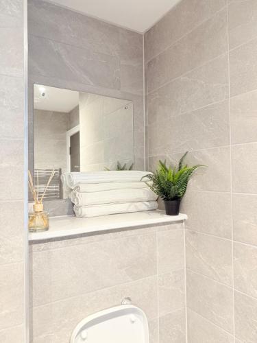 a bathroom with a toilet and a mirror at Greengate in Manchester
