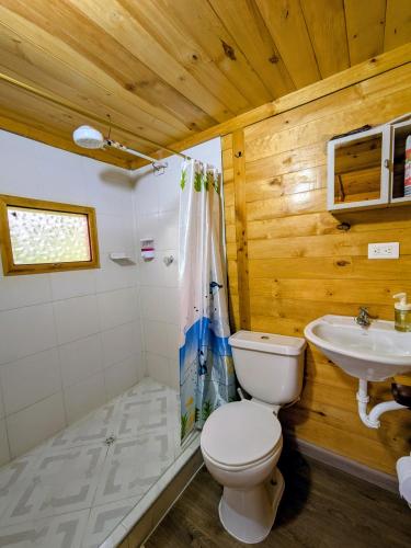 a bathroom with a toilet and a sink at Cabaña Caracolí. Tranquilidad vía a la laguna in Ubaque